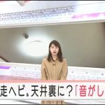 レス1番の画像サムネイル