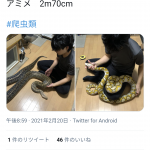 レス1番の画像サムネイル