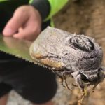 レス1番の画像サムネイル