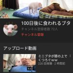 レス1番の画像サムネイル