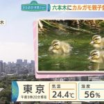レス358番の画像サムネイル