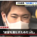 レス34番の画像サムネイル