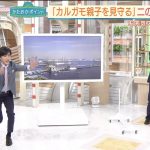 レス439番の画像サムネイル