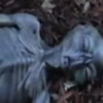 レス23番の画像サムネイル