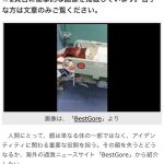 レス1番の画像サムネイル