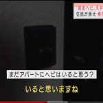 レス1番の画像サムネイル