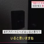 レス1番の画像サムネイル