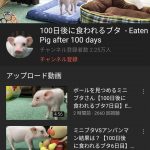 レス2番の画像サムネイル