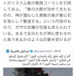 レス1番の画像サムネイル