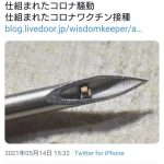 レス1番の画像サムネイル