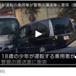 レス1番の画像サムネイル