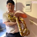 レス1番の画像サムネイル