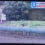 レス1番の画像サムネイル