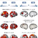 レス16番の画像サムネイル