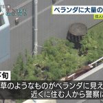 レス2番の画像サムネイル