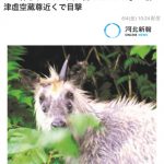 レス2番の画像サムネイル