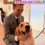 レス134番の画像サムネイル