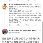 レス13番の画像サムネイル