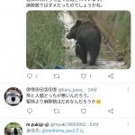 レス1番の画像サムネイル