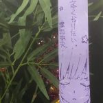 レス1番の画像サムネイル