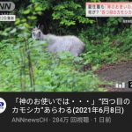 レス1番の画像サムネイル
