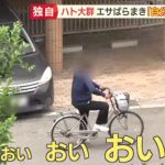 レス1番の画像サムネイル