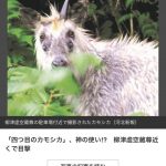 レス3番の画像サムネイル