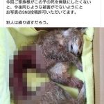 レス1番の画像サムネイル