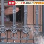 レス1番の画像サムネイル