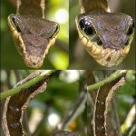 レス2番の画像サムネイル