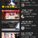 レス1番の画像サムネイル