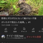 レス1番の画像サムネイル