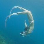 レス26番の画像サムネイル