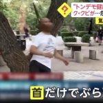 レス1番の画像サムネイル