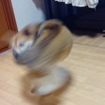レス15番の画像サムネイル
