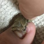 レス29番の画像サムネイル