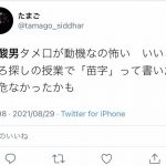 レス1番の画像サムネイル