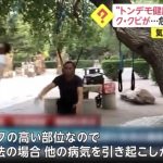レス1番の画像サムネイル