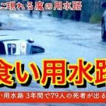 レス2番の画像サムネイル
