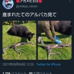 レス1番の画像サムネイル