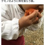 レス18番の画像サムネイル
