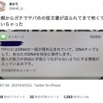 レス1番の画像サムネイル