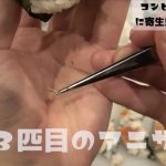 レス1番の画像サムネイル