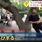 レス1番の画像サムネイル
