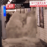 レス39番の画像サムネイル