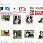 レス3番の画像サムネイル