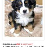 レス4番の画像サムネイル