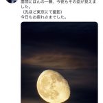 レス1番の画像サムネイル