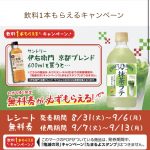 レス9番の画像サムネイル