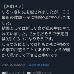 レス1番の画像サムネイル